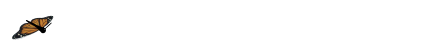 亚军球队的训练方案如何帮助你快速提升篮球技能_2